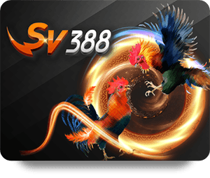 Unleash the Fun at Dafabet Casino Royal – Join Now!